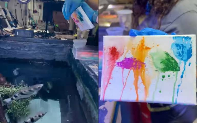 魚在水裡游…竟然也會作畫？　朝畫板狂噴水造就完美作品