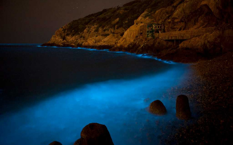 雙月灣的海洋哭了!想「追淚」不必飛出國 再等兩個月馬祖「藍眼淚」看好看滿!