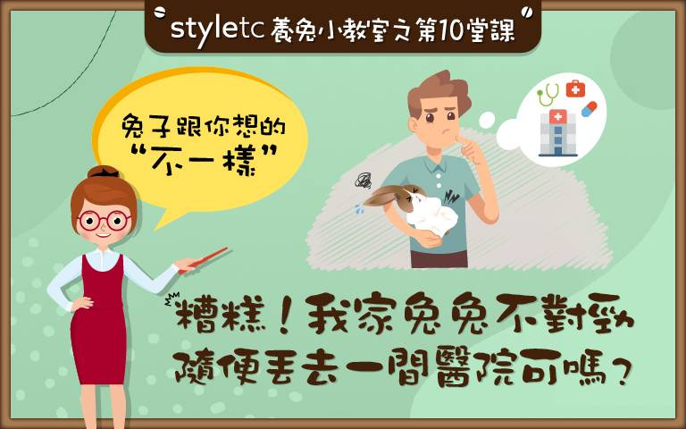 獸醫不見得懂兔子!全台兔科醫院總整理,飼主別再只挑離家近的!