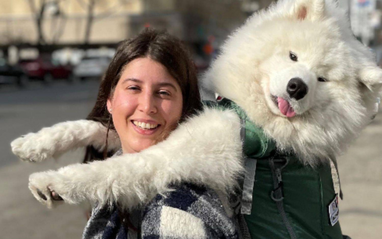 為符合寵物不落地！紐約飼主背著 25 公斤的薩摩耶搭地鐵