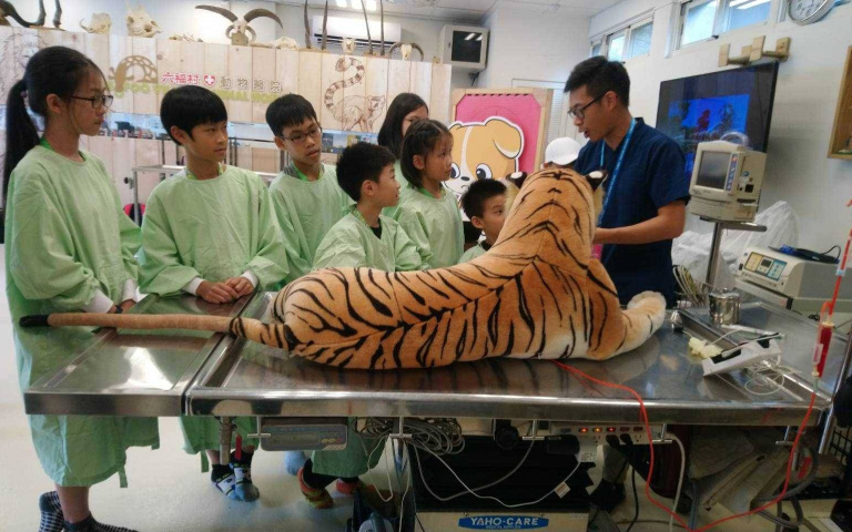 超夯限定暑期營隊來啦！實習當小小獸醫，體驗如何幫老虎及犀牛健檢！