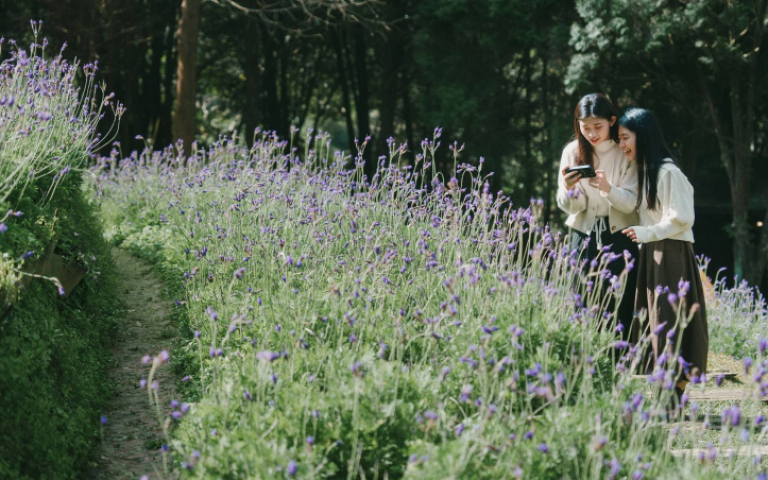 薰衣草森林號召全台新能源車主入園　發放零碳森林數位券、熱銷商品買一送一