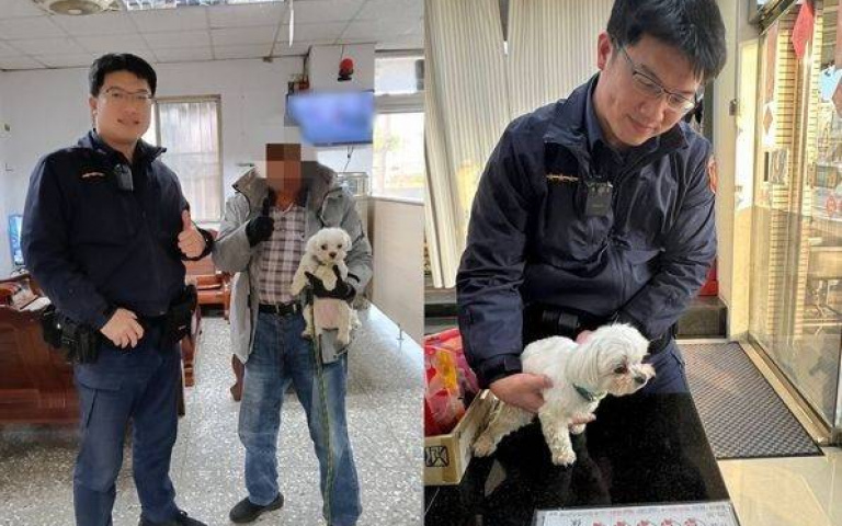 馬爾濟斯迷路還知道找警察 乖乖過馬路「請叔叔帶我回家」