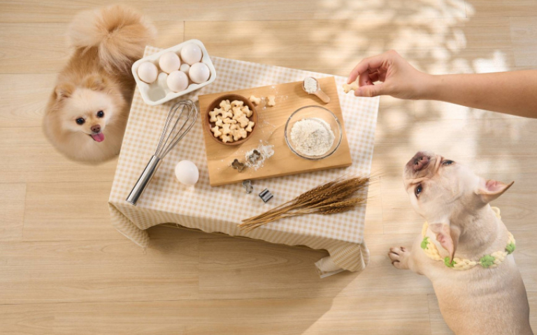 打造生活儀式感　用「DIY預拌粉」親手幫毛孩做點心