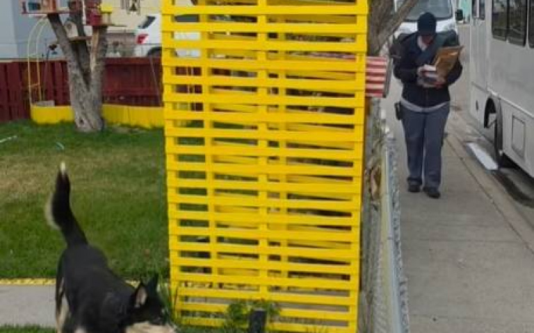 郵差姊姊來送信　大隻狗「賣萌」伸出小手討摸摸