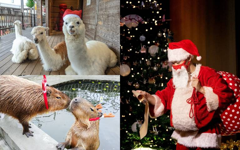 旅展券拿出來！憑券入住贈「聖誕新年現折金」，免費入園打卡新萌寵「熊貓羊」！