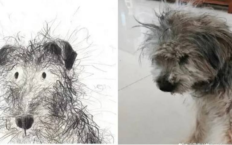 國小兒把愛犬畫成「炸毛外星怪物」媽怒了 畫作曝光笑翻網友:出神入化