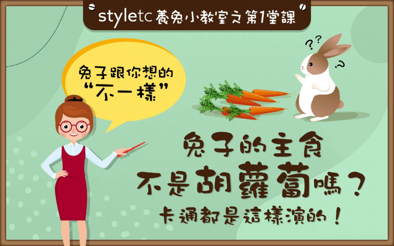 還在狂餵胡蘿蔔?小心兔子因「腸胃不適」而死,人家的主食是「它」啦!