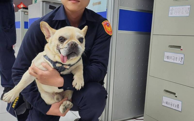 法鬥走丟被送到派出所狂嗑飼料 見到飼主竟不肯走「媽我還沒吃完」