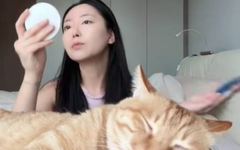 本來要睡覺了… 主人一行為嚇醒小喵