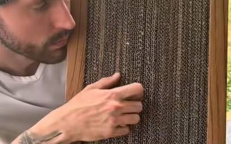 男子自製貓抓板！牠上鏡頭刷存在感　網笑：似乎覺得自己在幫忙？