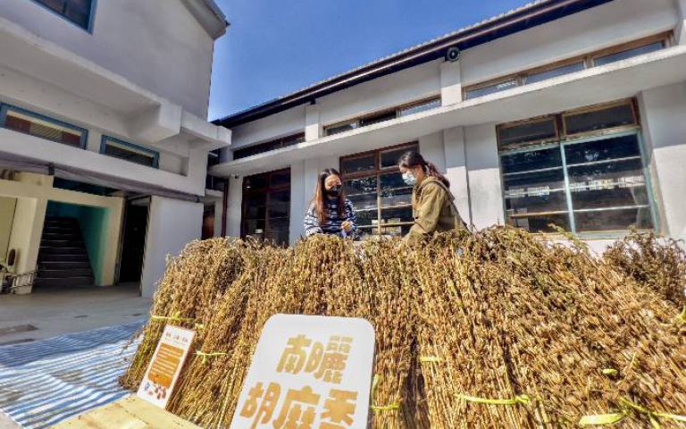 台中第四市場2／產地搬到城市現場　手打胡麻正飄香