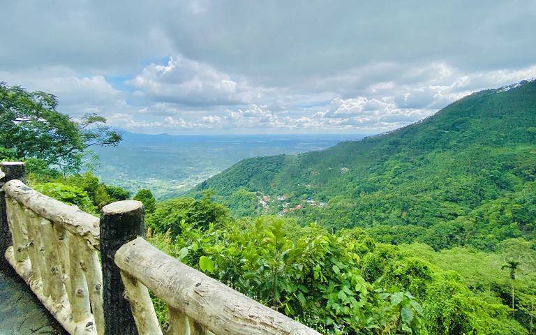 可樂旅遊攜手林鐵處獨包阿里山百年森鐵打造五感體驗列車,結合公益咖啡,百人會師奮起湖!