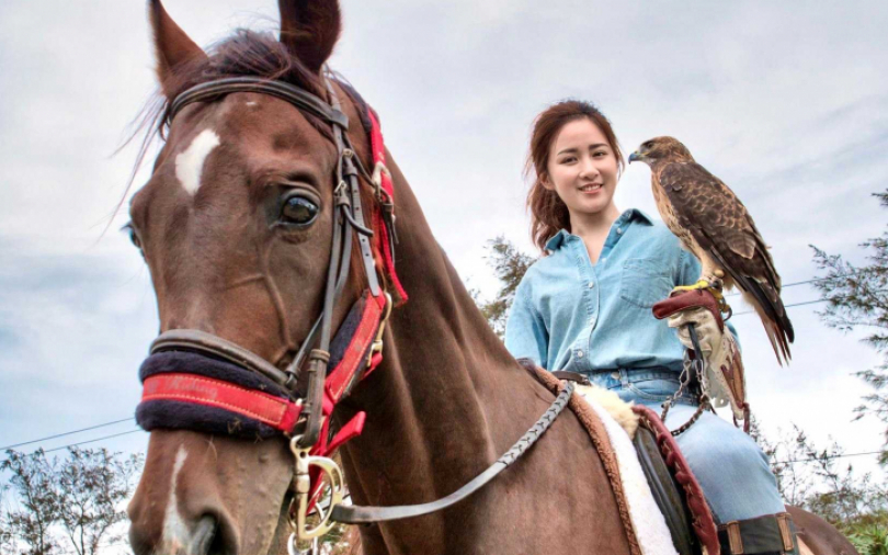 《女力報到》女星遭猛禽抓傷 「亮亮」顏以娜帥當馴鷹人