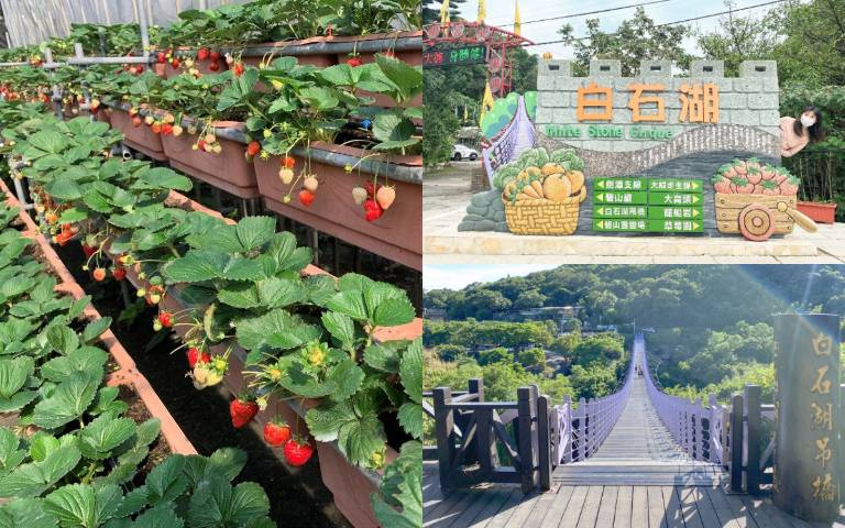 草莓採起來!「內湖一日遊」行程報你知,四大景點必打卡!