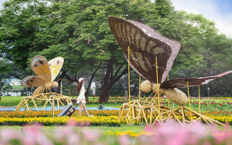 日遊五大洲、夜賞光蝴蝶　新北河濱蝶戀季起跑