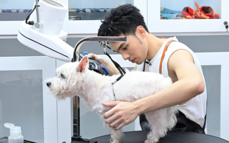 黃偉晉為毛孩拚場許富凱　資深貓奴挑戰寵物美容　