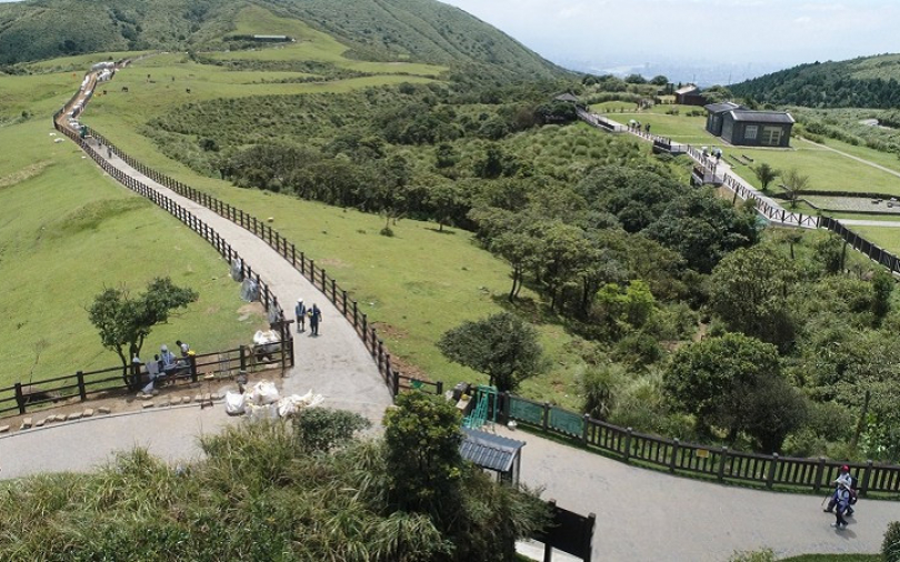 擎天崗草原中央步道再度開放！新設圍欄採「人牛分離」