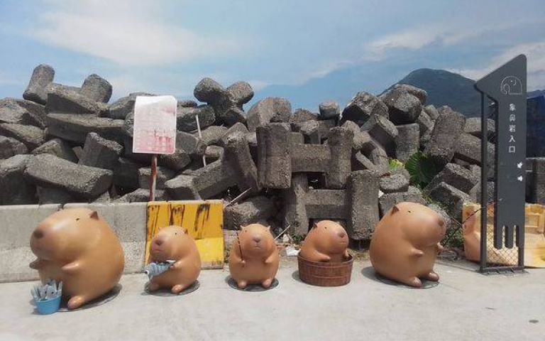 象鼻岩斷鼻意外成超萌水豚君 5隻「卡皮巴拉」現身爆紅成可愛打卡點